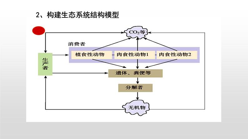 高中生物选择性必修二 高中生物选择性必修2    3.1生态系统的结构 课件08