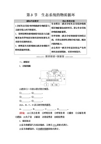 人教版 (2019)选择性必修2第3节 生态系统的物质循环教学设计及反思