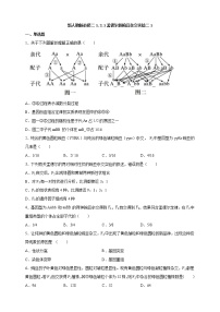 高中生物人教版 (2019)必修2《遗传与进化》第2节 孟德尔的豌豆杂交实验（二）测试题