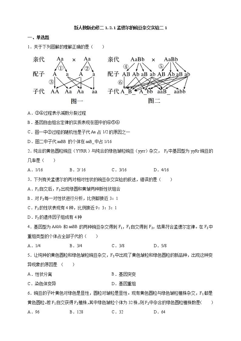 高中生物第二册 1.2.1孟德尔的豌豆杂交实验二1课后作业第1页