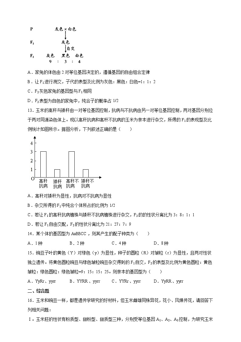 高中生物第二册 1.2.2孟德尔的豌豆杂交实验二2课后作业第3页