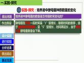高中生物选择性必修二 1.2 种群的数量变化（第2课时）精讲课件