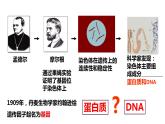 高中生物第二册 3.1DNA是主要的遗传物质 课件