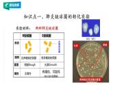 高中生物第二册 3.1DNA是主要的遗传物质 课件