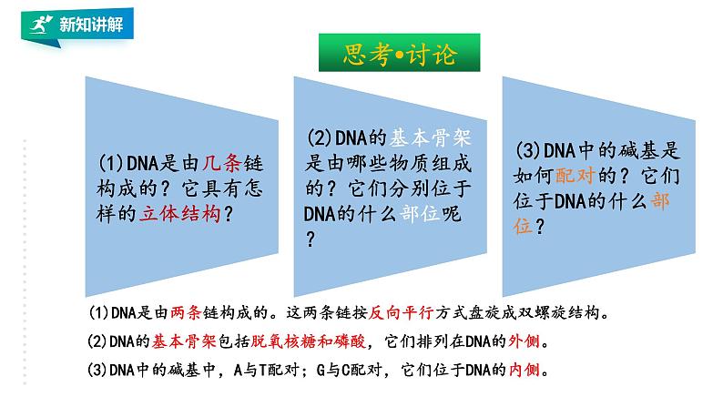 高中生物第二册 3.2DNA的结构第4页