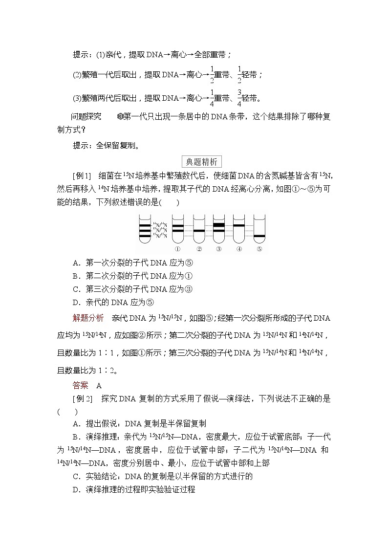 高中生物第二册 3.3 dna的复制 讲义第3页