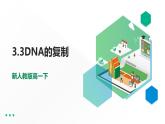 高中生物第二册 3.3DNA的复制 课件