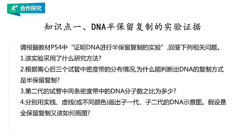 高中生物第二册 3.3DNA的复制 课件04