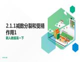 高中生物第二册 2.1.1减数分裂和受精作用1 课件