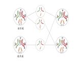 高中生物第二册 2.1.1减数分裂和受精作用1 课件