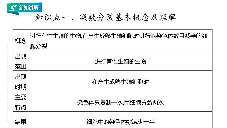 高中生物第二册 2.1.1减数分裂和受精作用1 课件07