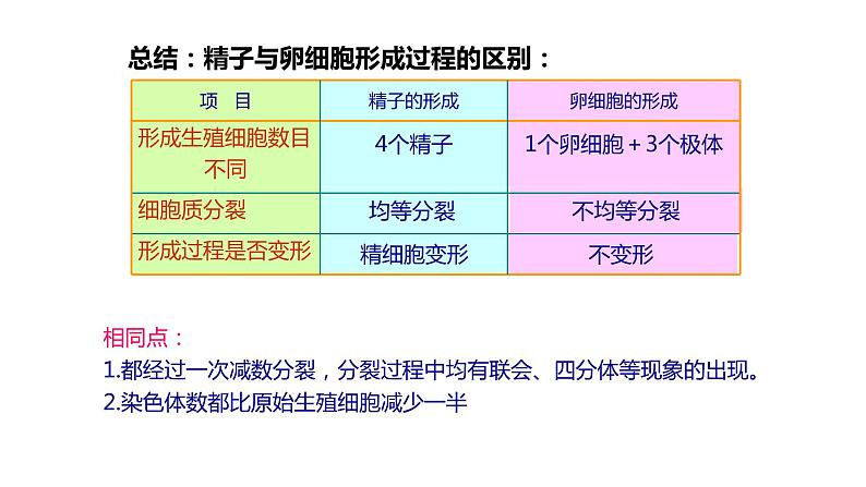 高中生物第二册 2.1.2减数分裂和受精作用2第6页