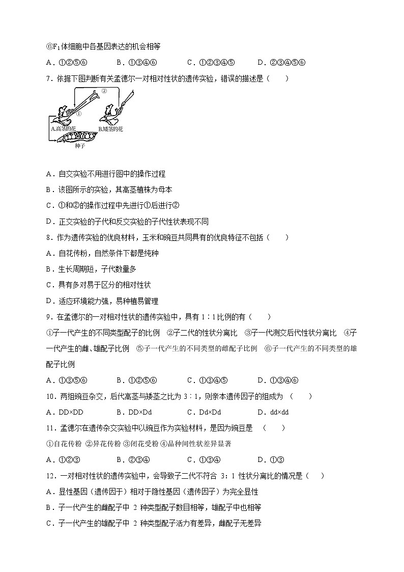 高中生物第二册 1.1孟德尔的豌豆杂交实验(一)1课后作业第2页