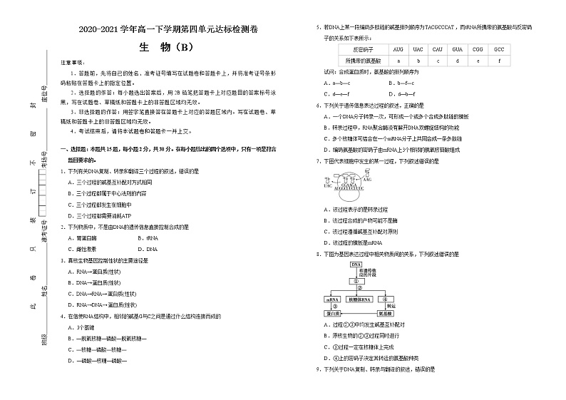 高中生物第二册 2020-2021学年必修2第四单元基因的表达达标检测卷 （B） (无答案)第1页