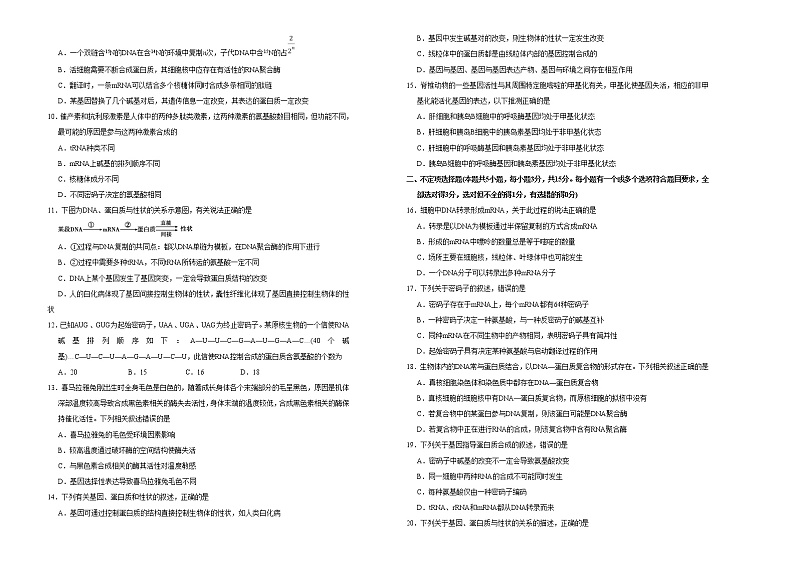 高中生物第二册 2020-2021学年必修2第四单元基因的表达达标检测卷 （B） (无答案)第2页