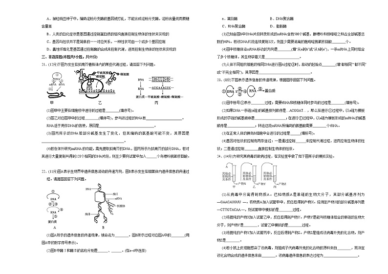 高中生物第二册 2020-2021学年必修2第四单元基因的表达达标检测卷 （B） (无答案)第3页