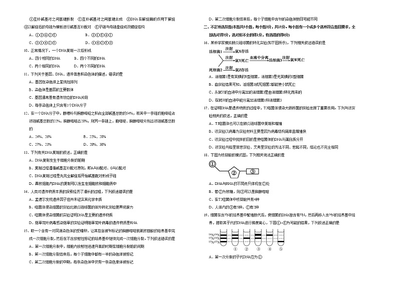高中生物第二册 2020-2021学年必修2第三单元基因的本质达标检测卷 （B） (无答案)第2页