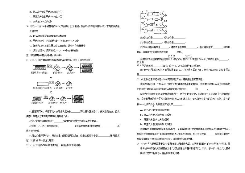 高中生物第二册 2020-2021学年必修2第三单元基因的本质达标检测卷 （B） (无答案)第3页
