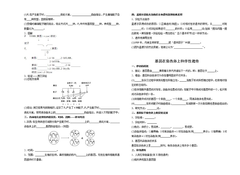 高中生物第二册 2020——2021学年 高一下学期   人教版  高中生物必修二知识点填空02