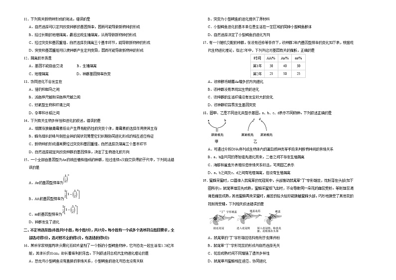 高中生物第二册 2020-2021学年必修2第六单元生物的进化达标检测卷 （B） (无答案)02