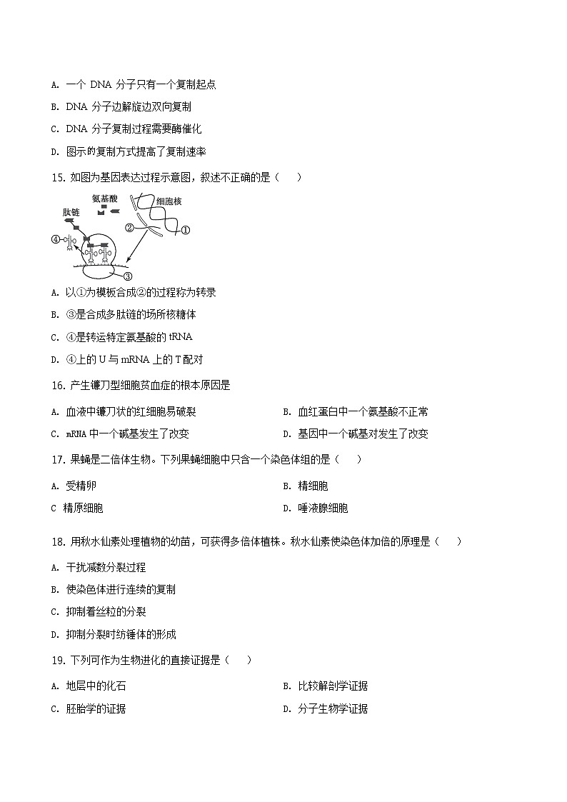 高中生物第二册 精品解析.北京市西城区2019-2020学年高一下学期期末生物试题（无答案）第3页