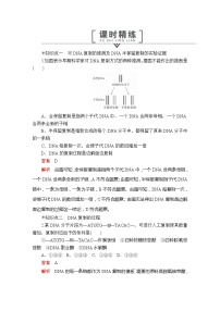 高中生物人教版 (2019)必修2《遗传与进化》第4节 基因通常是有遗传效应的DNA片段教学设计及反思