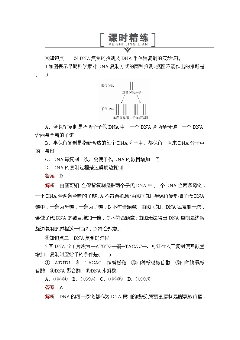 高中生物第二册 第3章  第4节DNA的复制 基因通常是有遗传效应的DNA片段  课时精练第1页