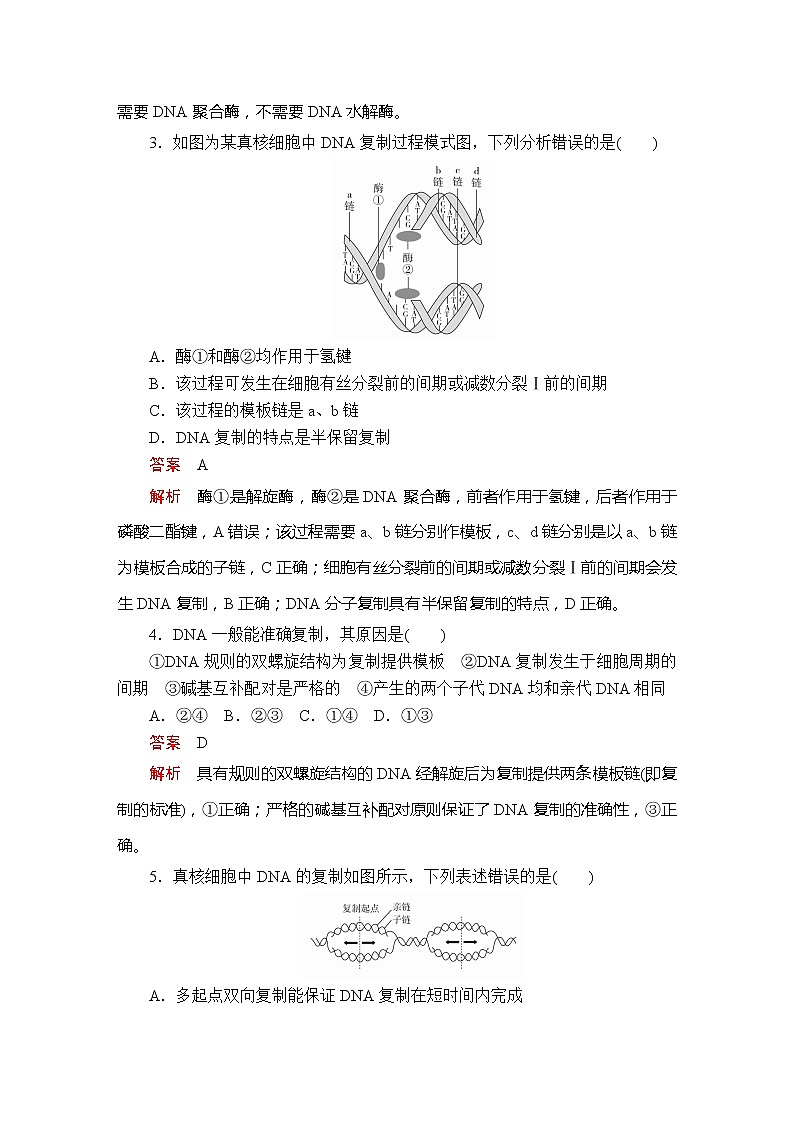 高中生物第二册 第3章  第4节DNA的复制 基因通常是有遗传效应的DNA片段  课时精练第2页