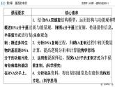 高中生物第二册 第3章 第3、4节 DNA的复制 基因通常是有遗传效应的DNA片段 课件