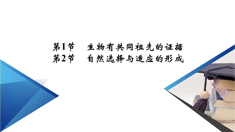 高中生物第二册 第6章 第1、2节 生物有共同祖先的证据　自然选择与适应的形成第2页