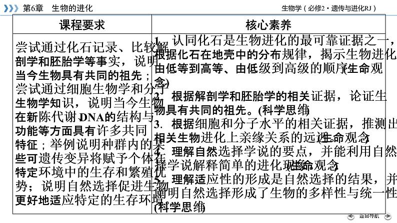 高中生物第二册 第6章 第1、2节 生物有共同祖先的证据　自然选择与适应的形成第4页