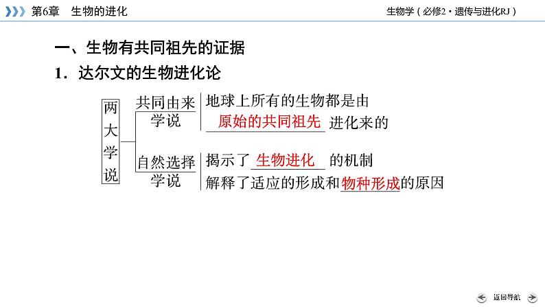 高中生物第二册 第6章 第1、2节 生物有共同祖先的证据　自然选择与适应的形成第7页