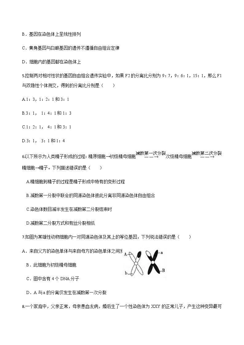高中生物第二册 2019-2020学年高一生物下学期期末测试卷02（新教材必修二）（无答案）第2页