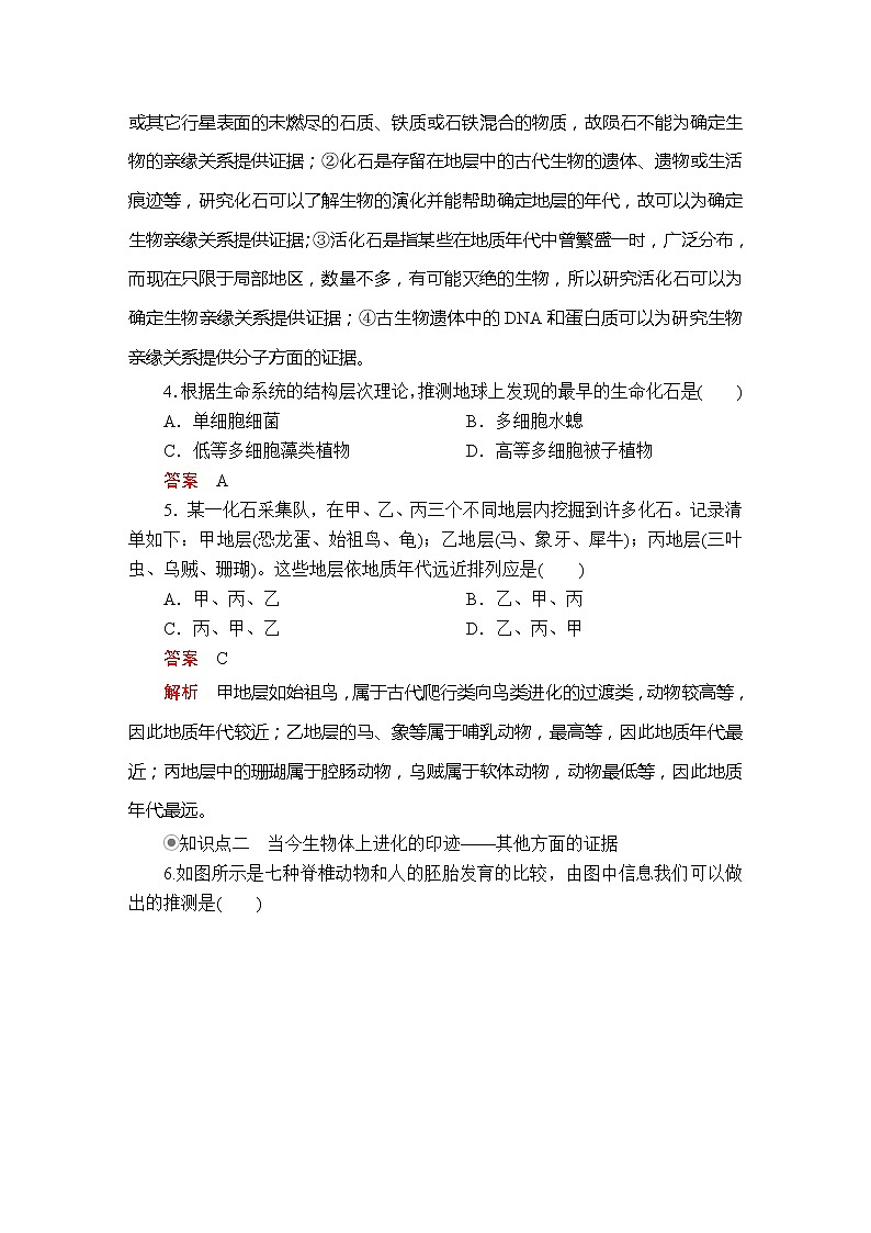 高中生物第二册 第6章  第1节生物有共同祖先的证据课时精练第2页
