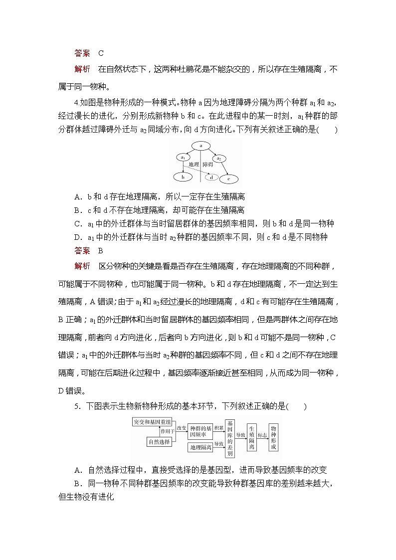 高中生物第二册 第6章  第3节  第2课时隔离在物种形成中的作用  第4节  课时精练02