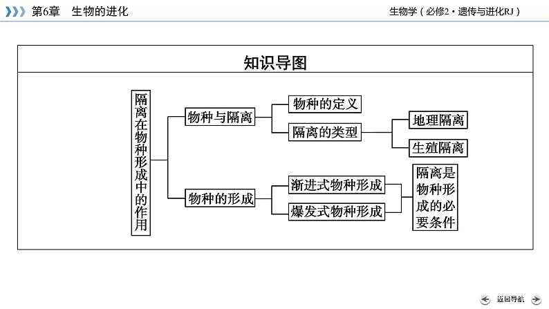 高中生物第二册 第6章 第3节 第2课时 隔离在物种形成中的作用 课件05