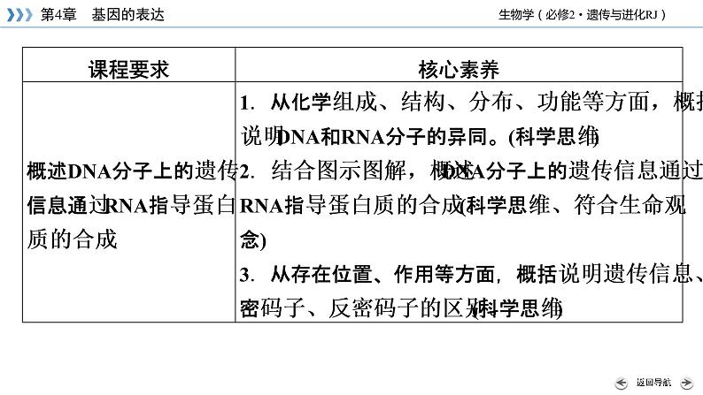 高中生物第二册 第4章 第1节 基因指导蛋白质的合成第4页