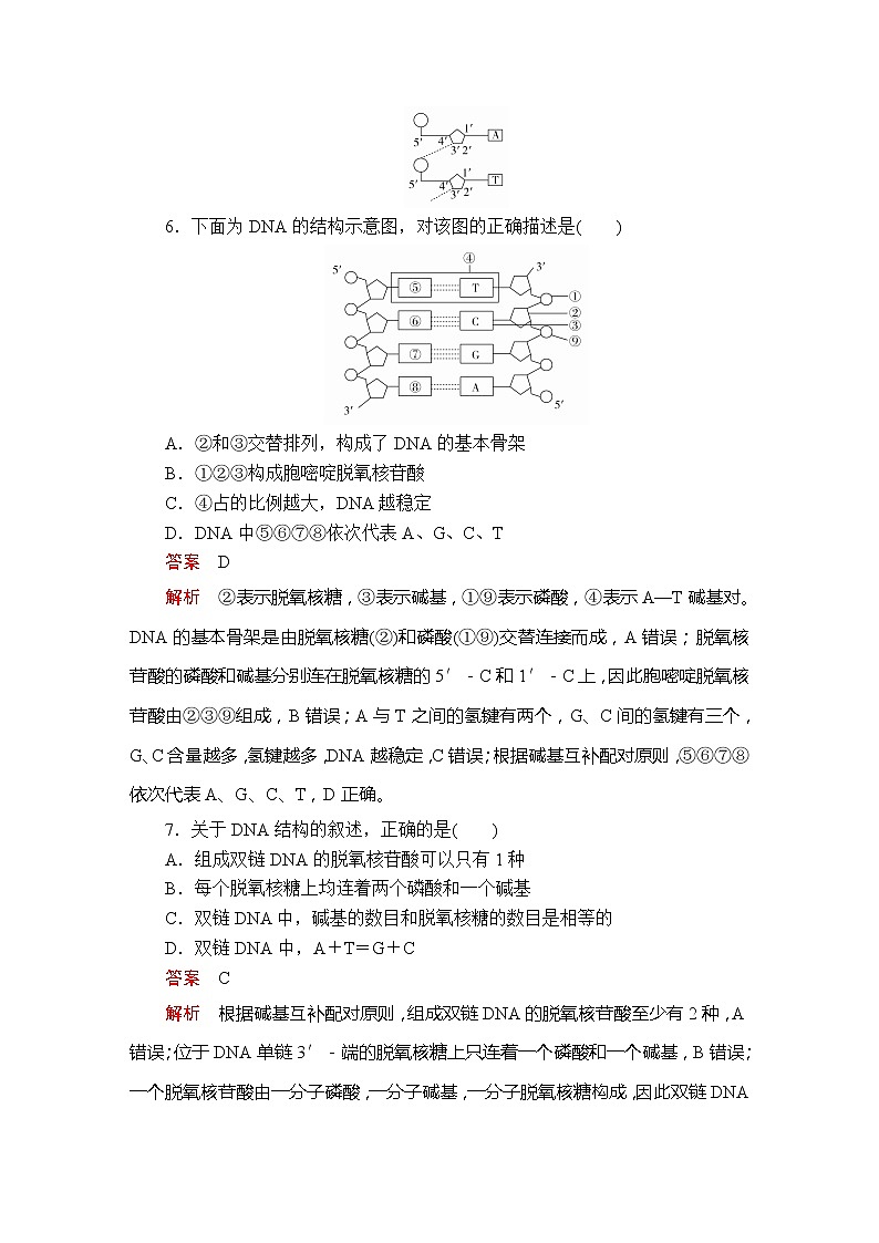 高中生物第二册 第3章  第2节DNA的结构课时精练03