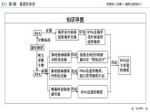 高中生物第二册 第3章 第1节 DNA是主要的遗传物质 课件