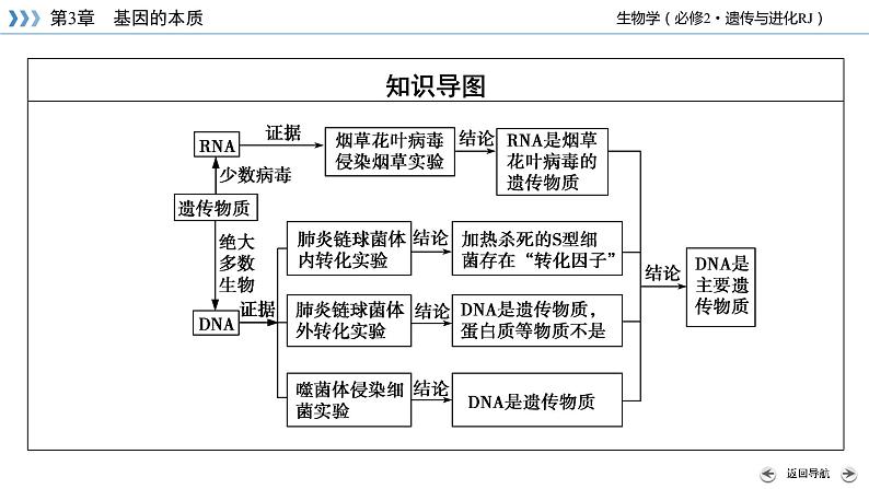 高中生物第二册 第3章 第1节 DNA是主要的遗传物质第5页