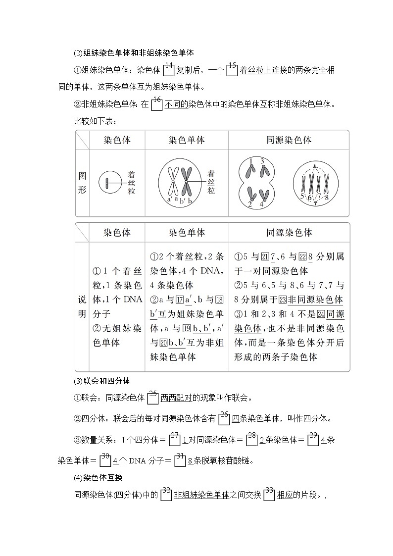 高中生物第二册 第2章 第1节 减数分裂和受精作用 第1课时 教案02
