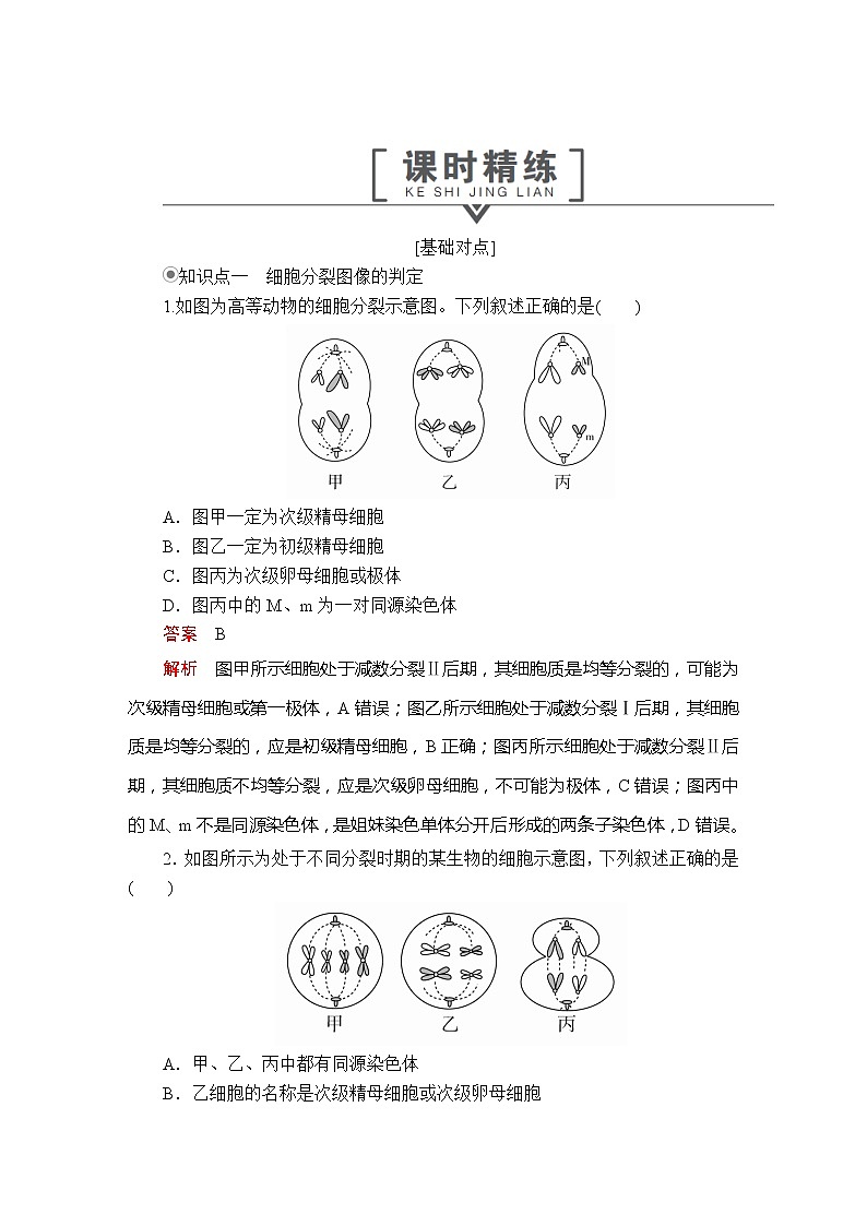 高中生物第二册 第2章 第1节 减数分裂和受精作用 第3课时  课时精练01