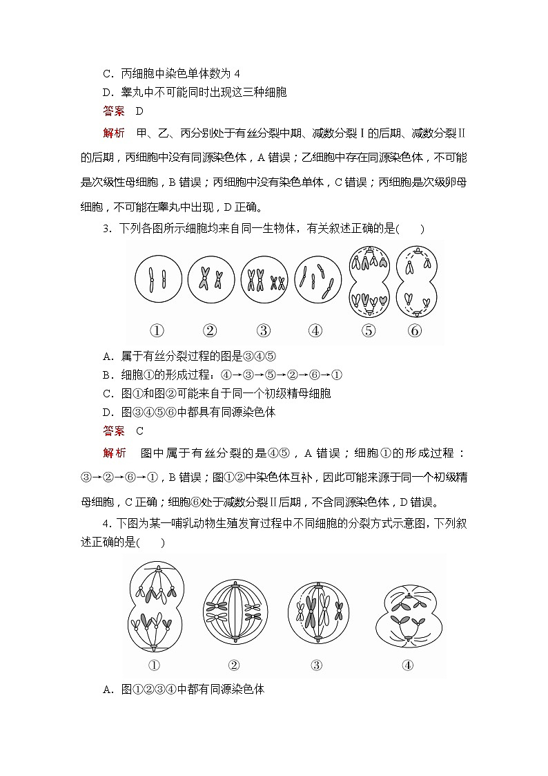 高中生物第二册 第2章 第1节 减数分裂和受精作用 第3课时  课时精练02