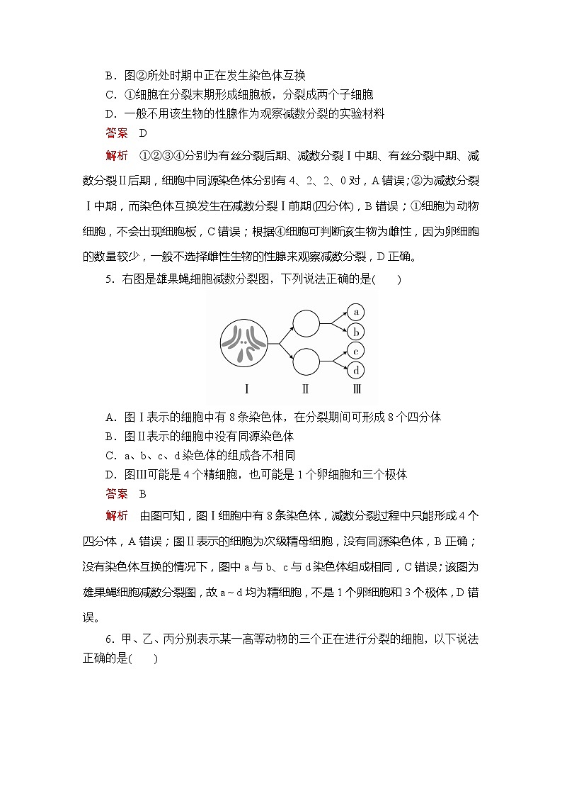 高中生物第二册 第2章 第1节 减数分裂和受精作用 第3课时  课时精练03