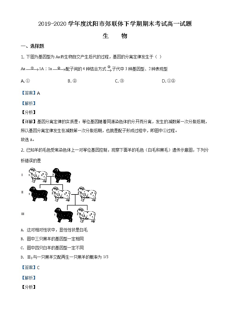 高中生物第二册 精品解析.辽宁省沈阳市郊联体2019-2020学年高一下学期期末生物试题（含答案）第1页