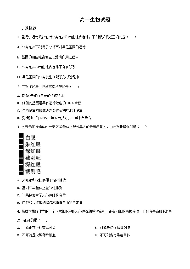 高中生物第二册 精品解析.山东省德州市2019-2020学年高一下学期期末生物试题（无答案）第1页