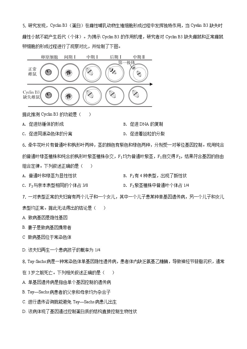 高中生物第二册 精品解析.山东省德州市2019-2020学年高一下学期期末生物试题（无答案）第2页