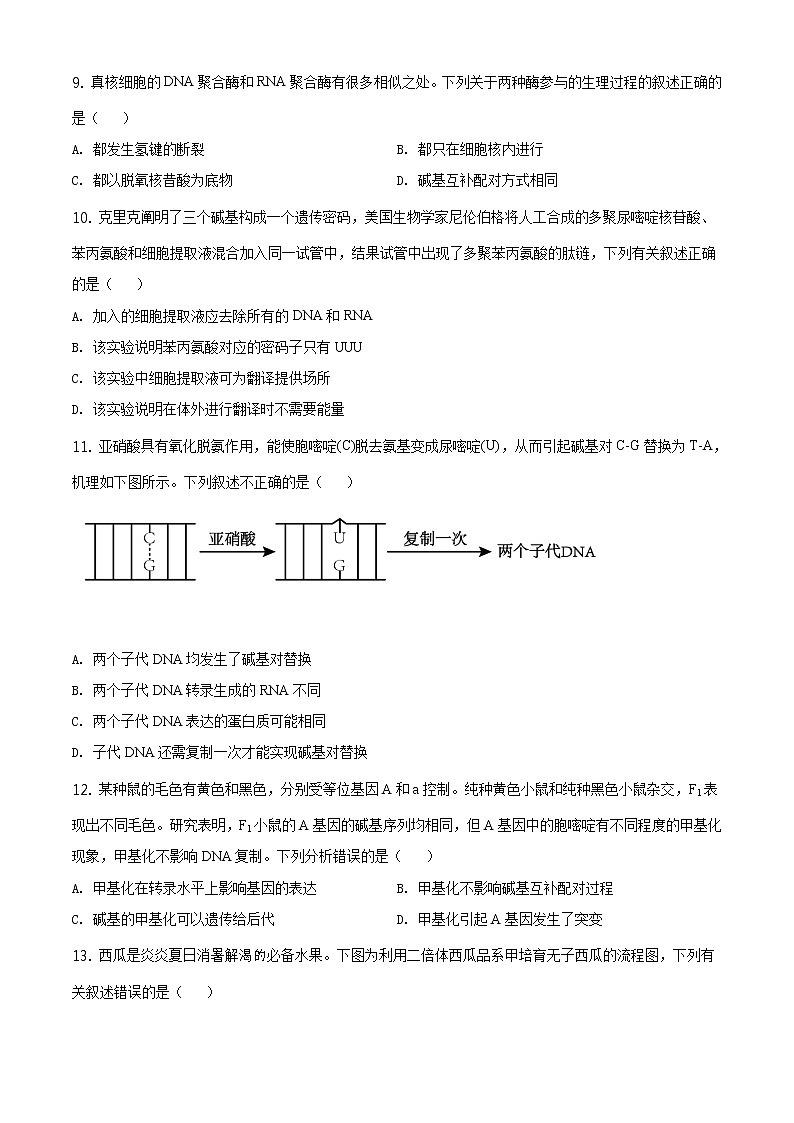 高中生物第二册 精品解析.山东省德州市2019-2020学年高一下学期期末生物试题（无答案）第3页