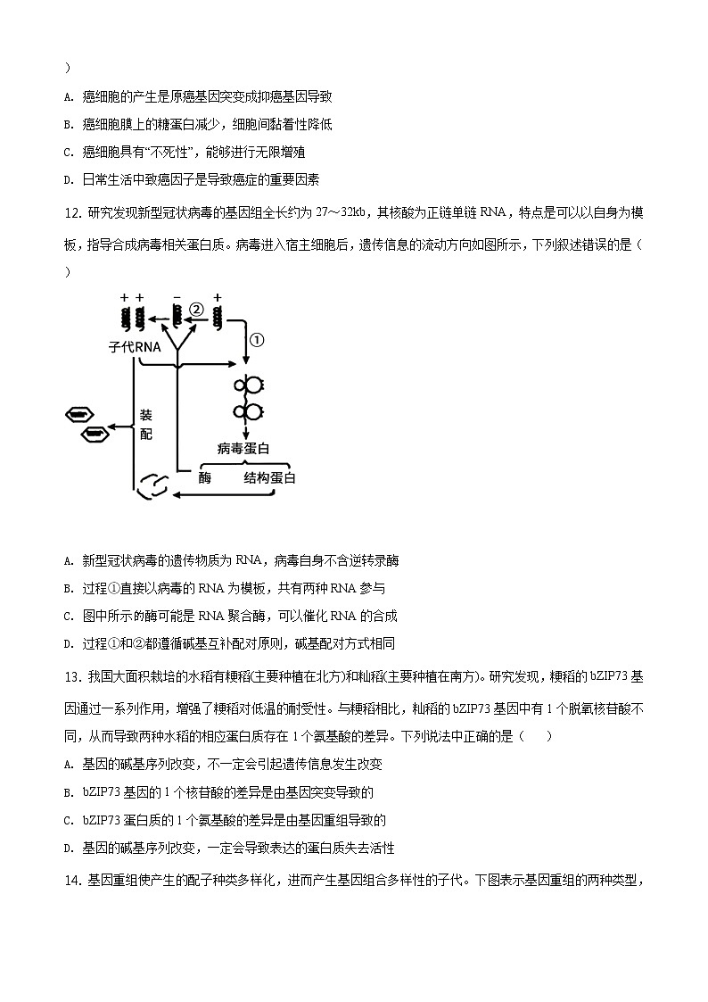 高中生物第二册 精品解析.山东省青岛胶州市2019-2020学年高一下学期期末生物试题（无答案）第3页