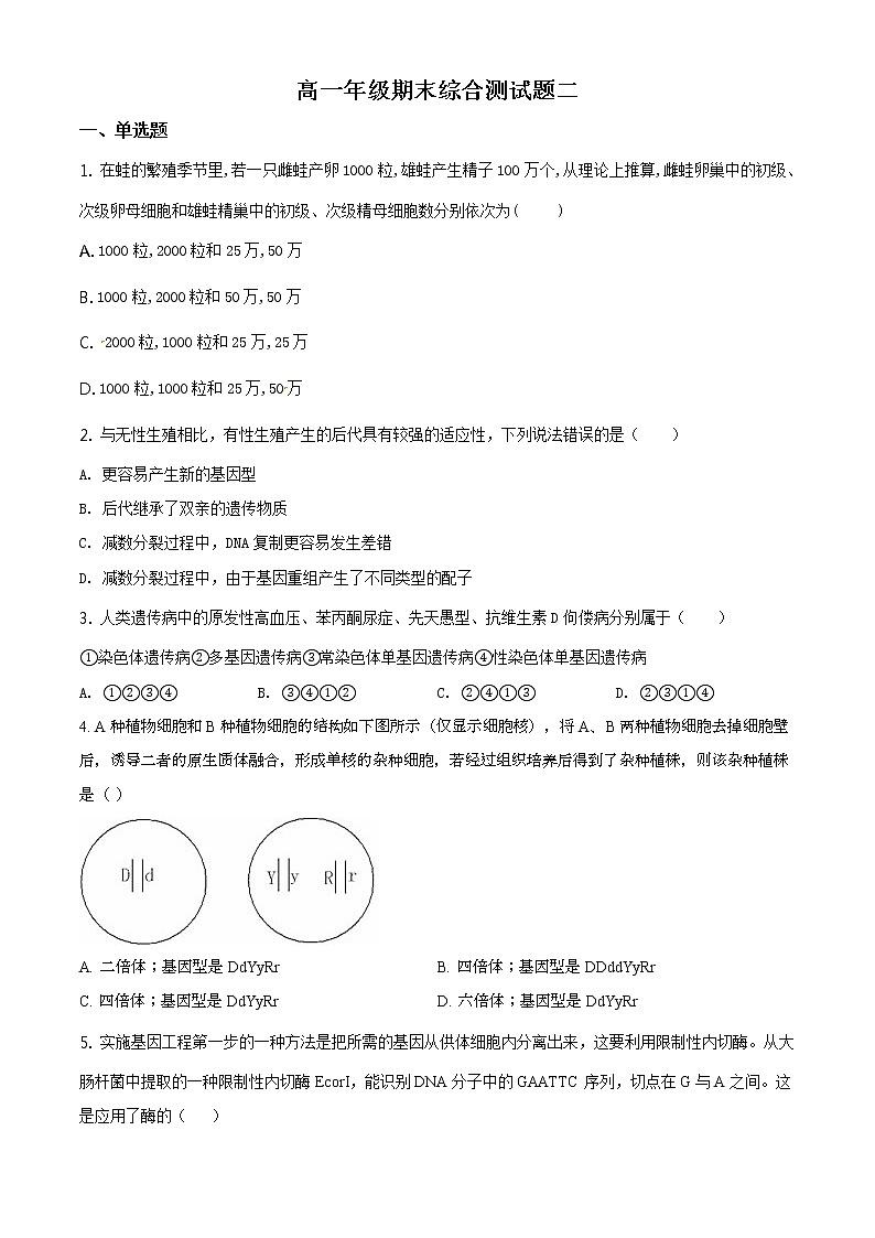 高中生物第二册 精品解析.山东省泰安市新泰市二中2019-2020学年高一下学期期末生物试题（无答案）01